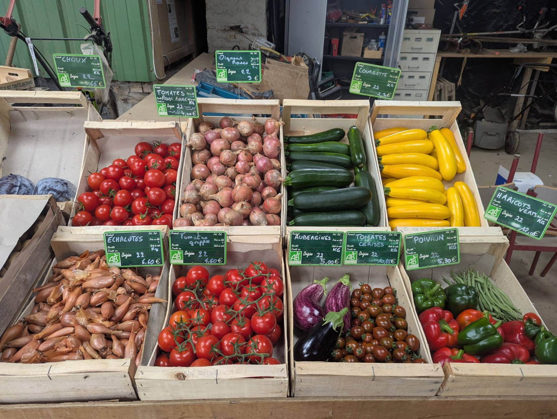 Etal de légumes de la ferme (courgettes, tomates, aubergines...)