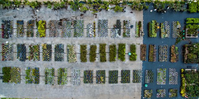 Vue aérienne des plantations horticoles de notre ESAT domaine du Puch