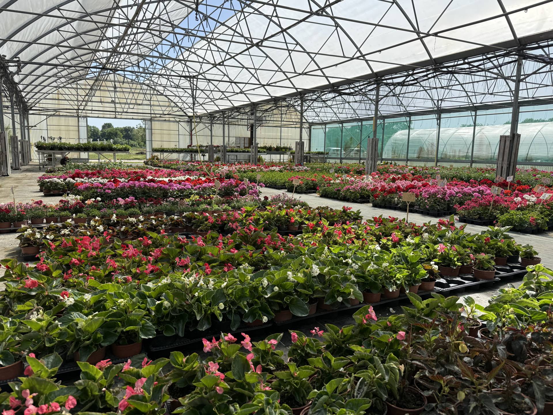 Serres de fleurs