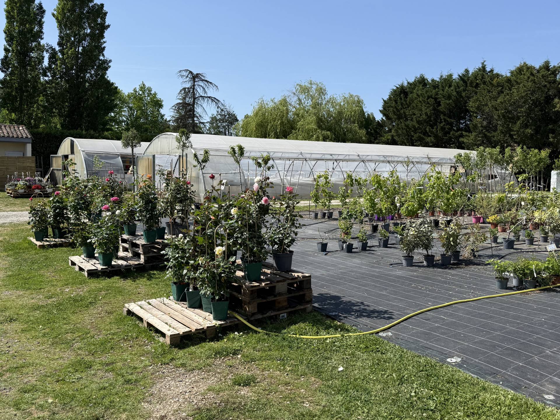 Serres vues de l'extérieur